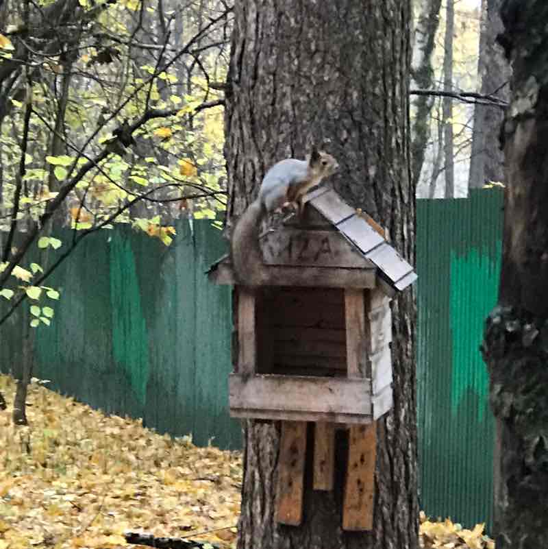 Виктория Юрист post 1