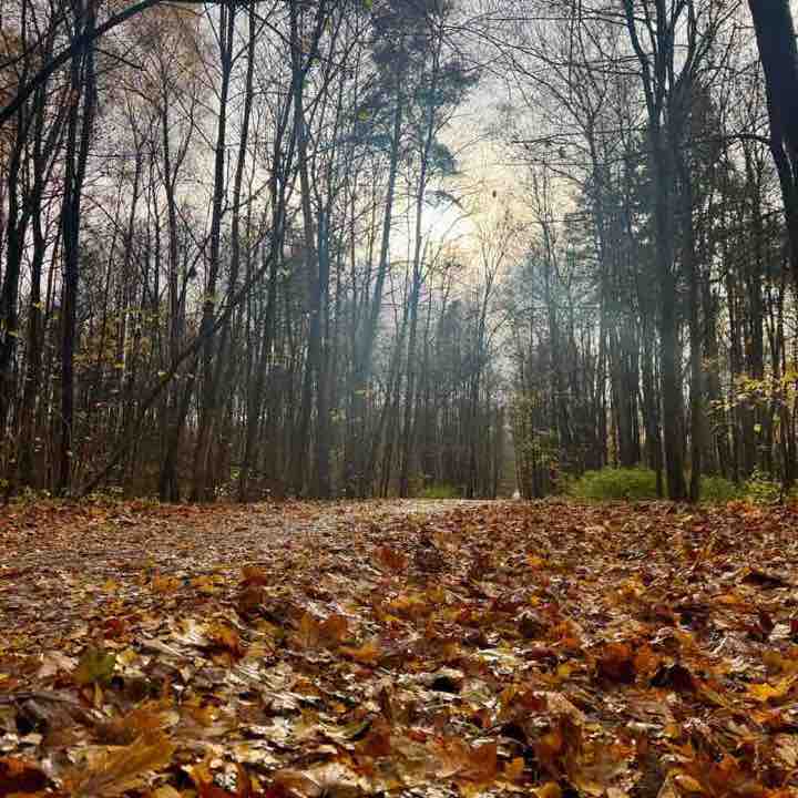 Маршрут 3.0 Виктория Юрист post image