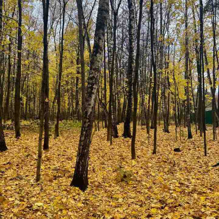 Маршрут 3.0 Виктория Юрист post image