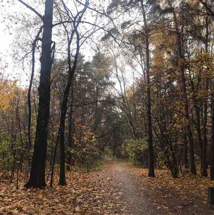 Виктория Юрист post 2