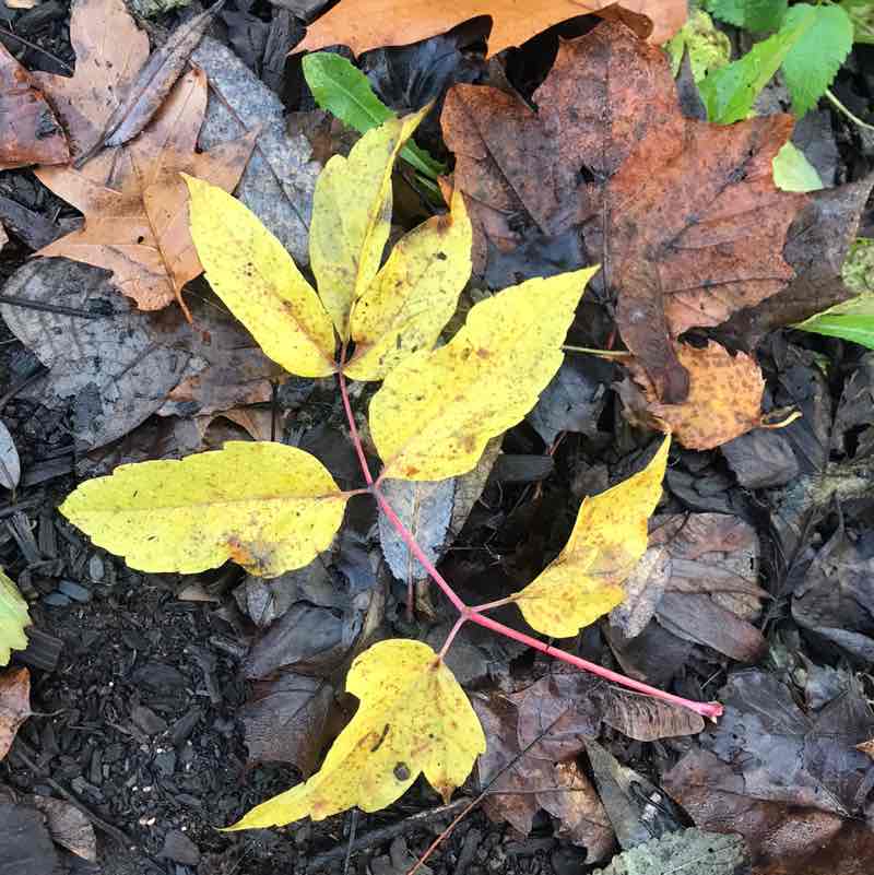 Маршрут 3.0 Виктория Юрист post image