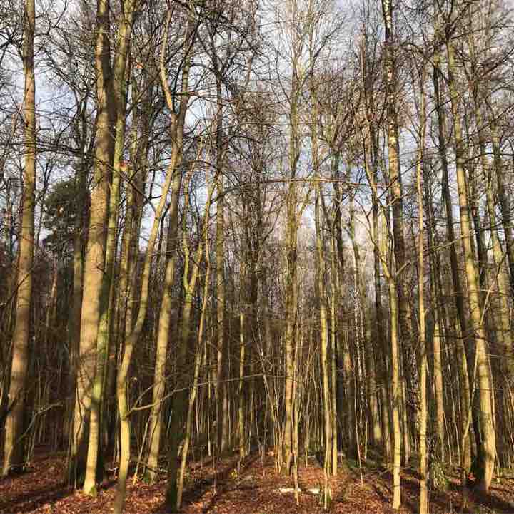 Маршрут 3.0 Виктория Юрист post image