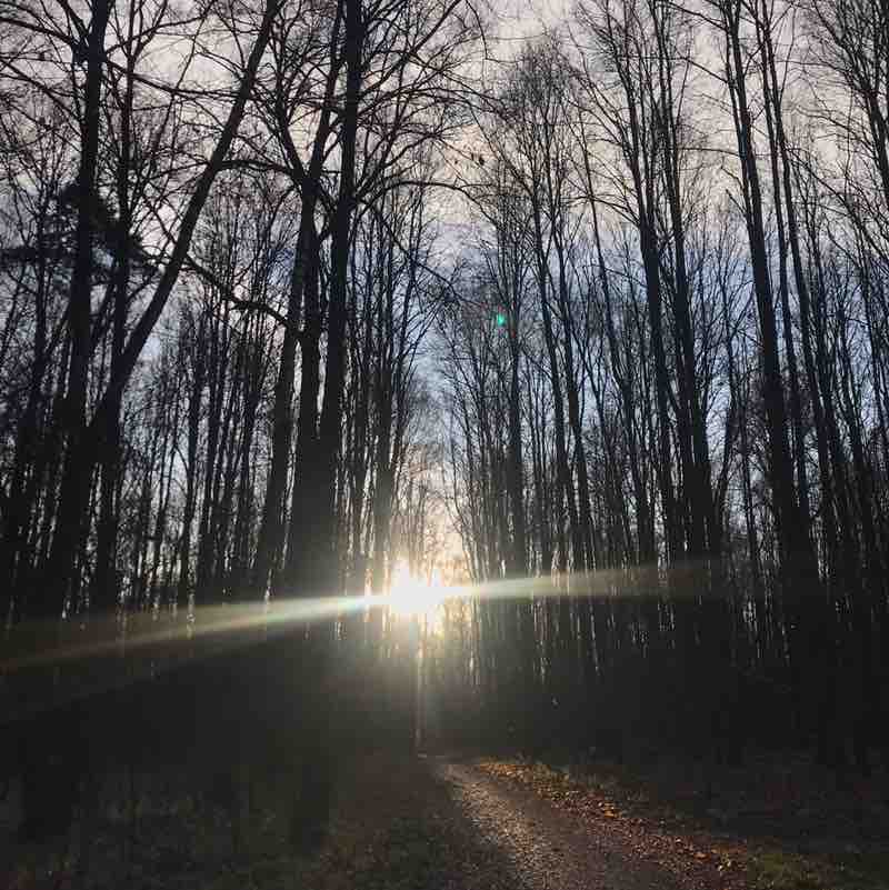 Маршрут 3.0 Виктория Юрист post image