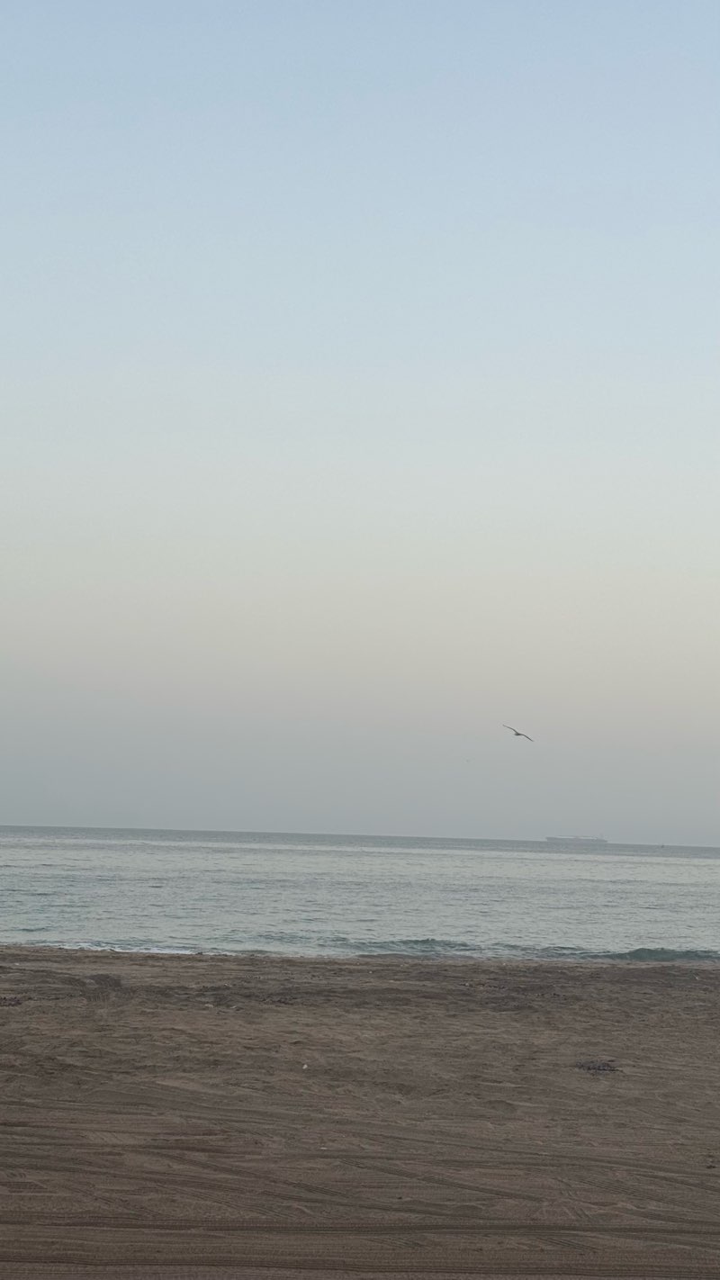 walking near me in Ghubrah Beach Park in autumn