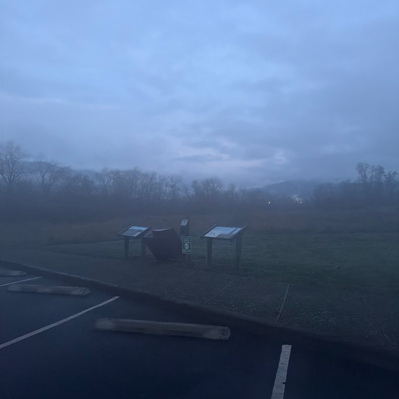 Stella Penney post 1