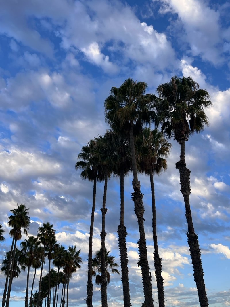 walking near me in Bluff Park in autumn