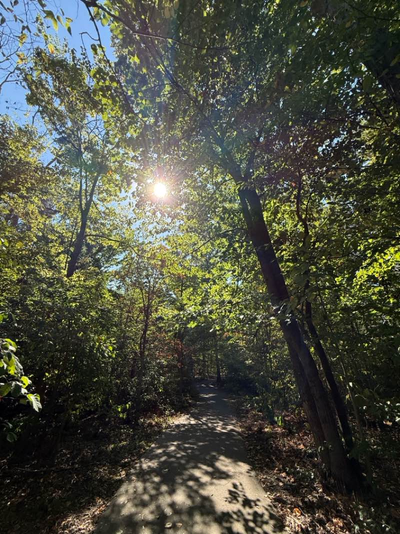 walking near me in Coxhall Gardens in autumn