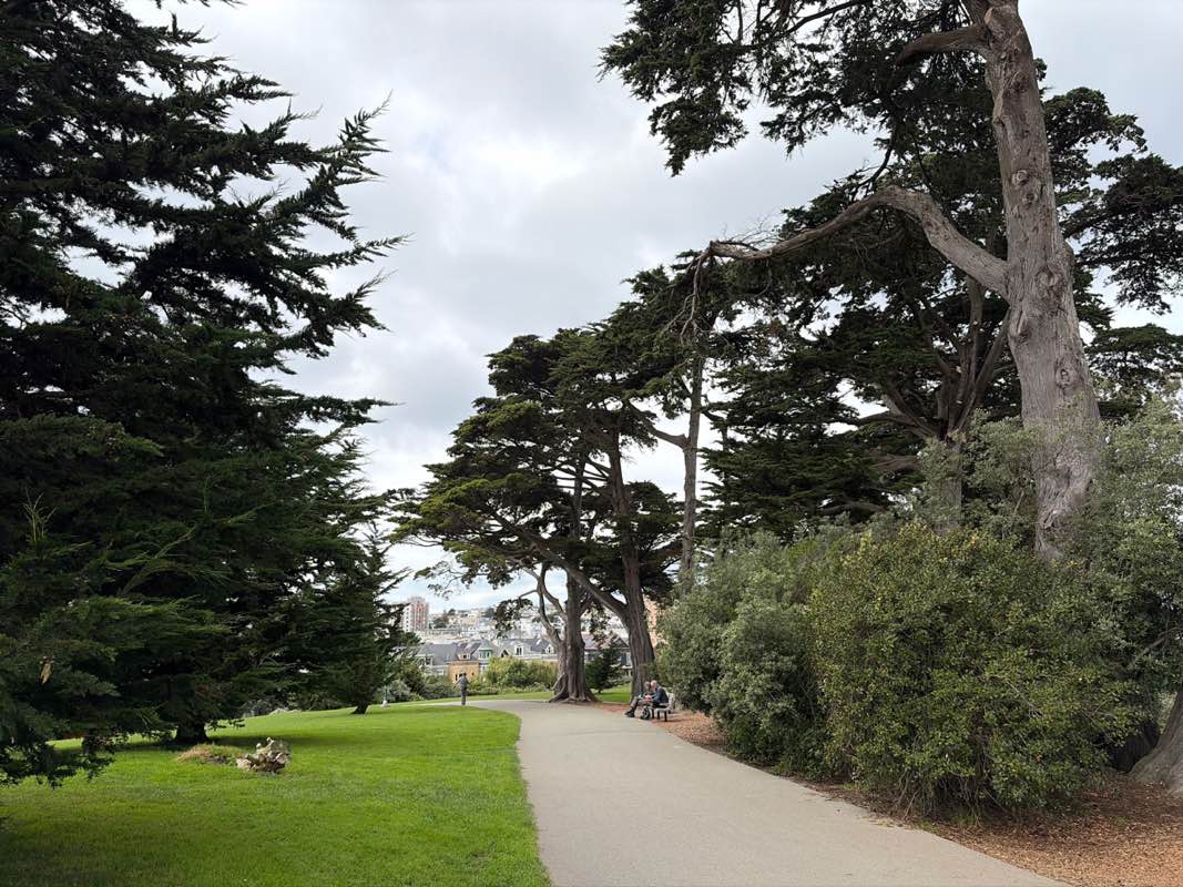 walking near me in Alamo Square in autumn
