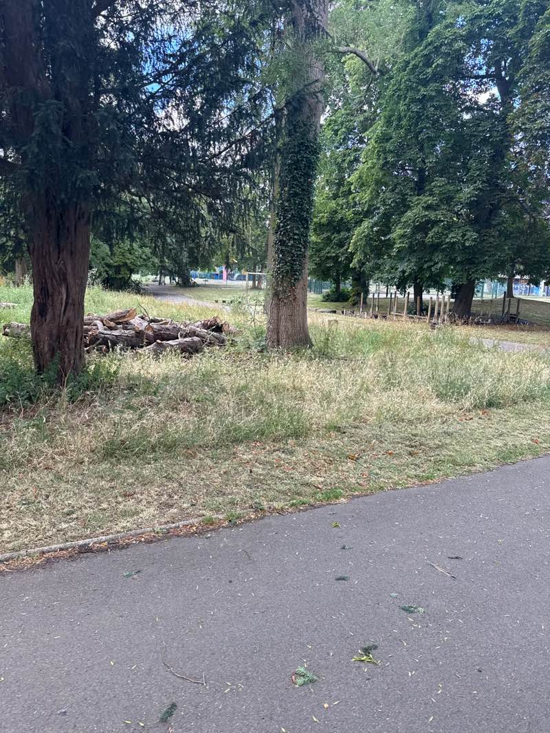 walking near me in Islip Manor Park in summer