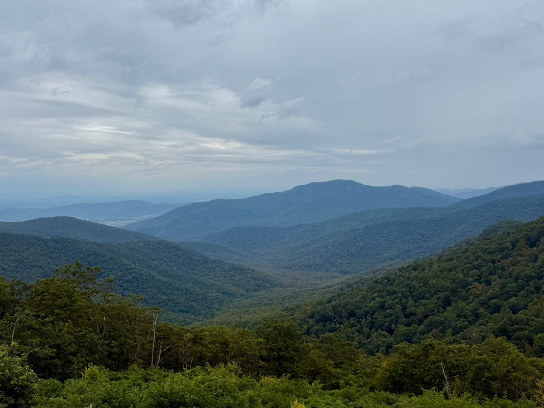 Harvey H-AUS profile