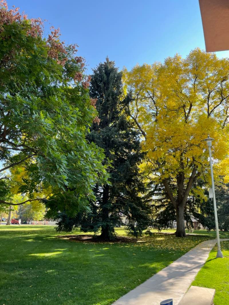 walking near me in Fickel Park in autumn