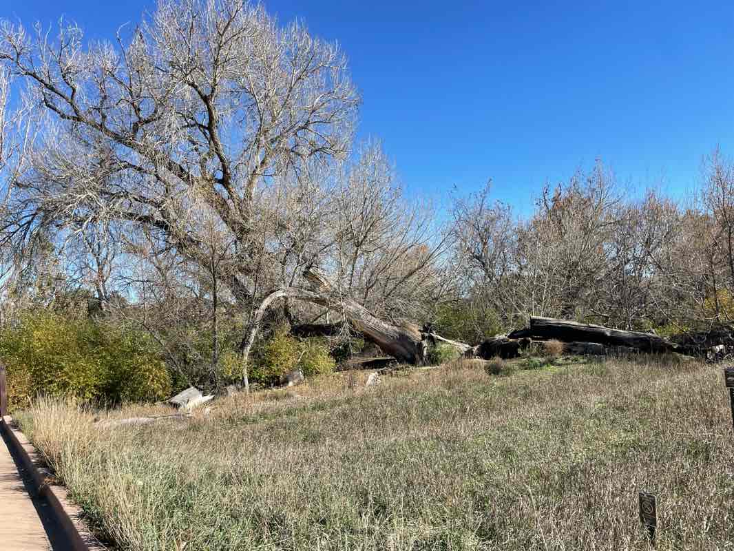 walking near me in Redtail Grove Natural Area in autumn