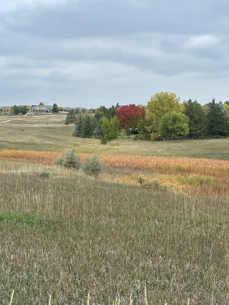 walking near me in Cathy Fromme Prairie Natural Area in autumn