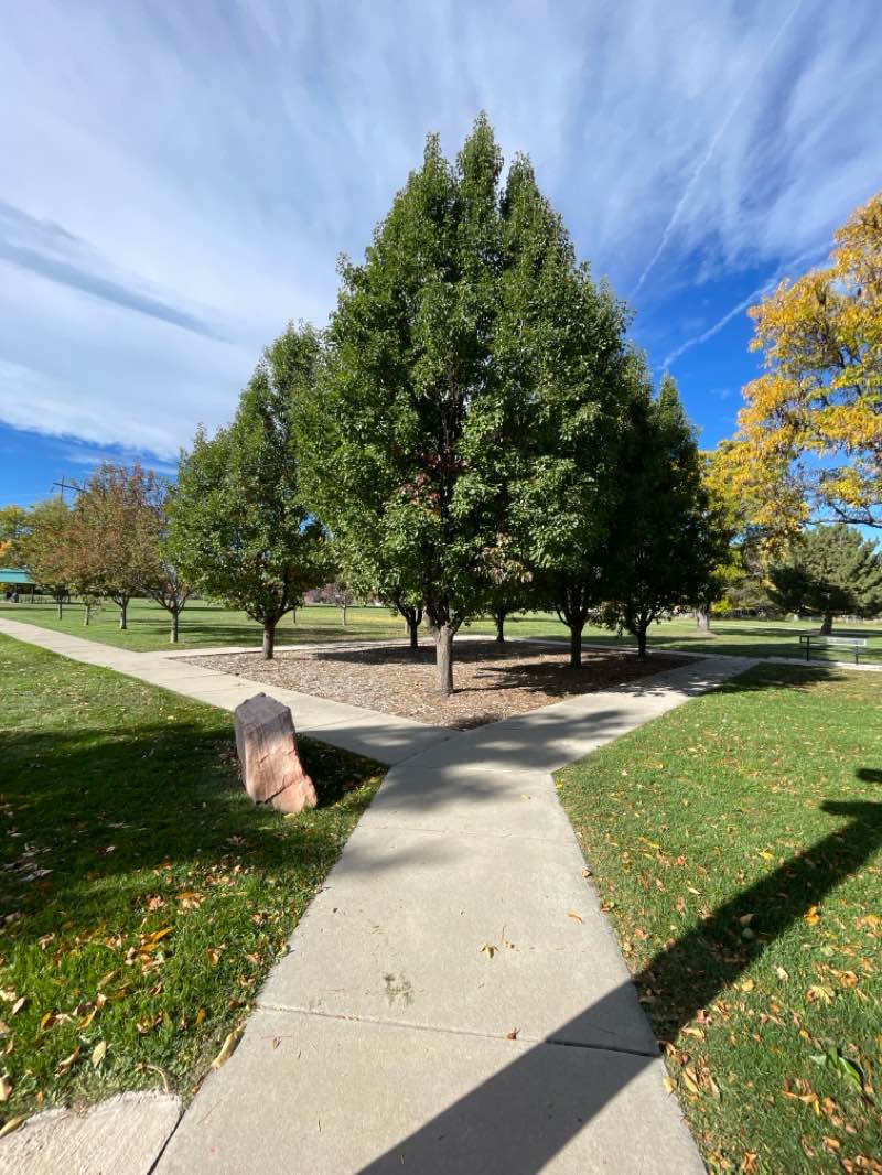 walking near me in Kanemoto Park in autumn