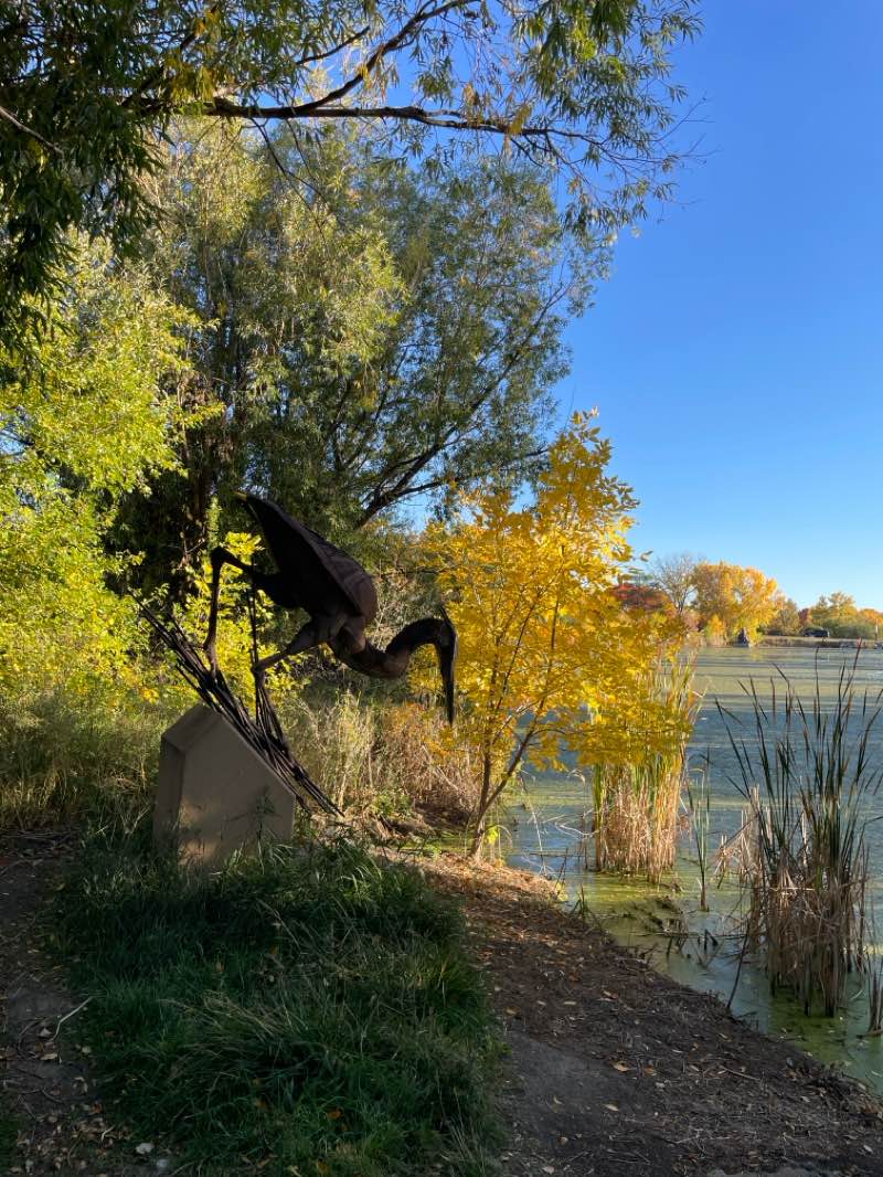 walking near me in Benson Sculpture Garden in autumn