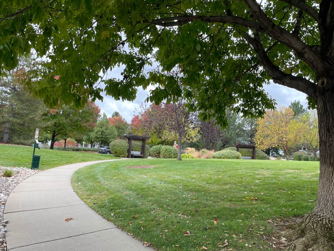 walking near me in Plum Creek Park in autumn