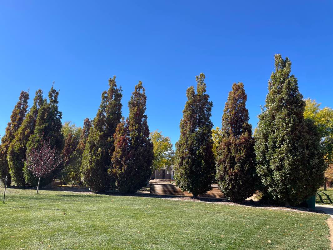 walking near me in Pioneer Park in autumn