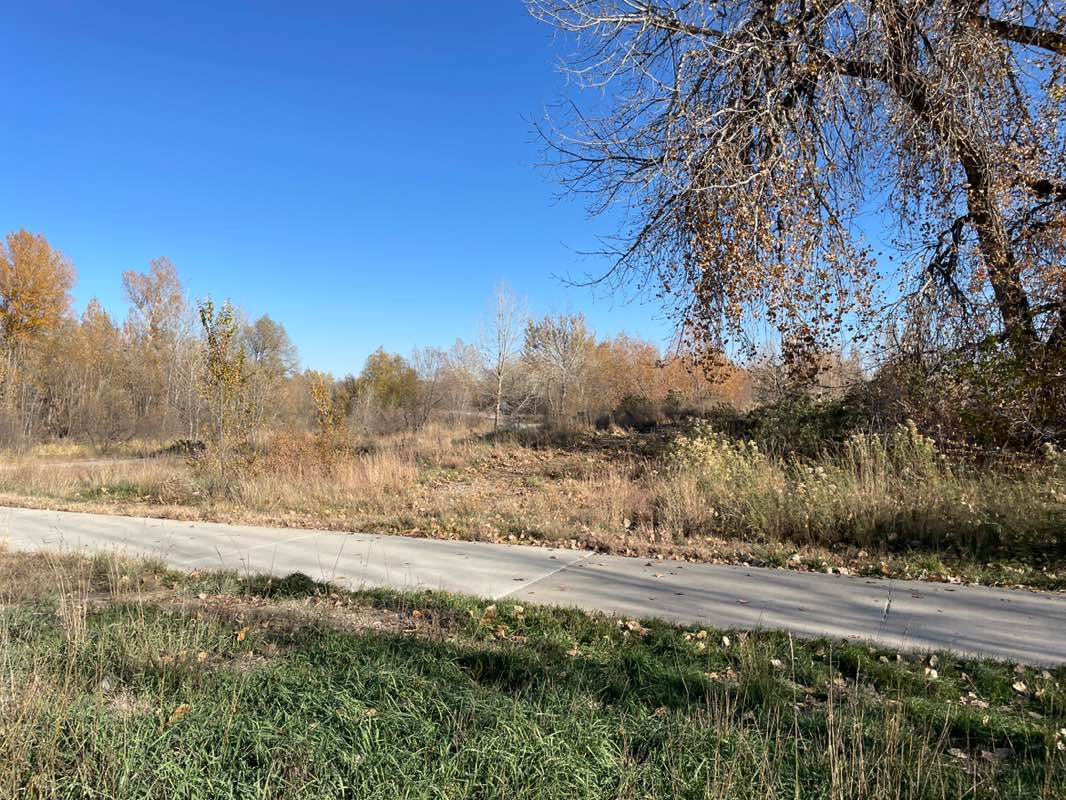 walking near me in Cottonwood Run Natural Area in autumn