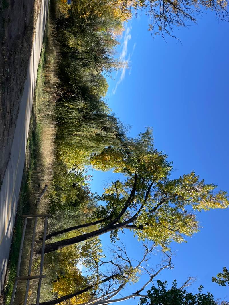walking near me in Fairgrounds Park in autumn