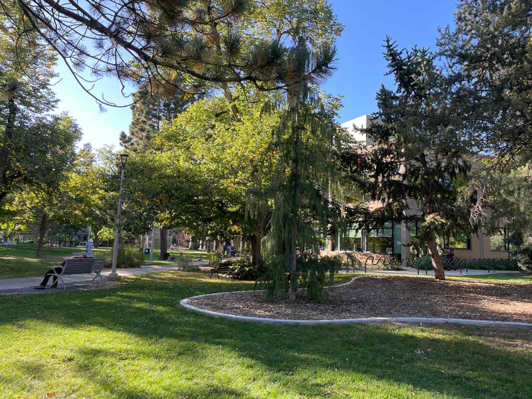 walking near me in Library Park in autumn