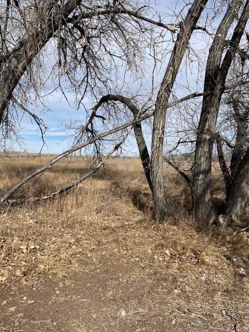 walking near me in Arapaho Bend Natural Area in winter
