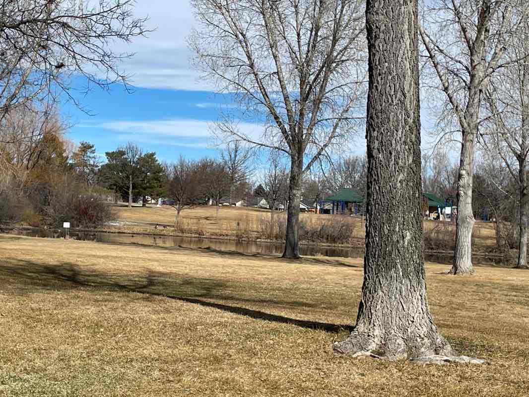 walking near me in Troutman Park in spring