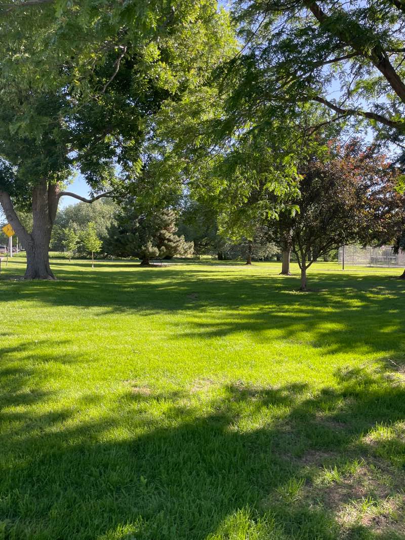walking near me in Lanyon Park in summer