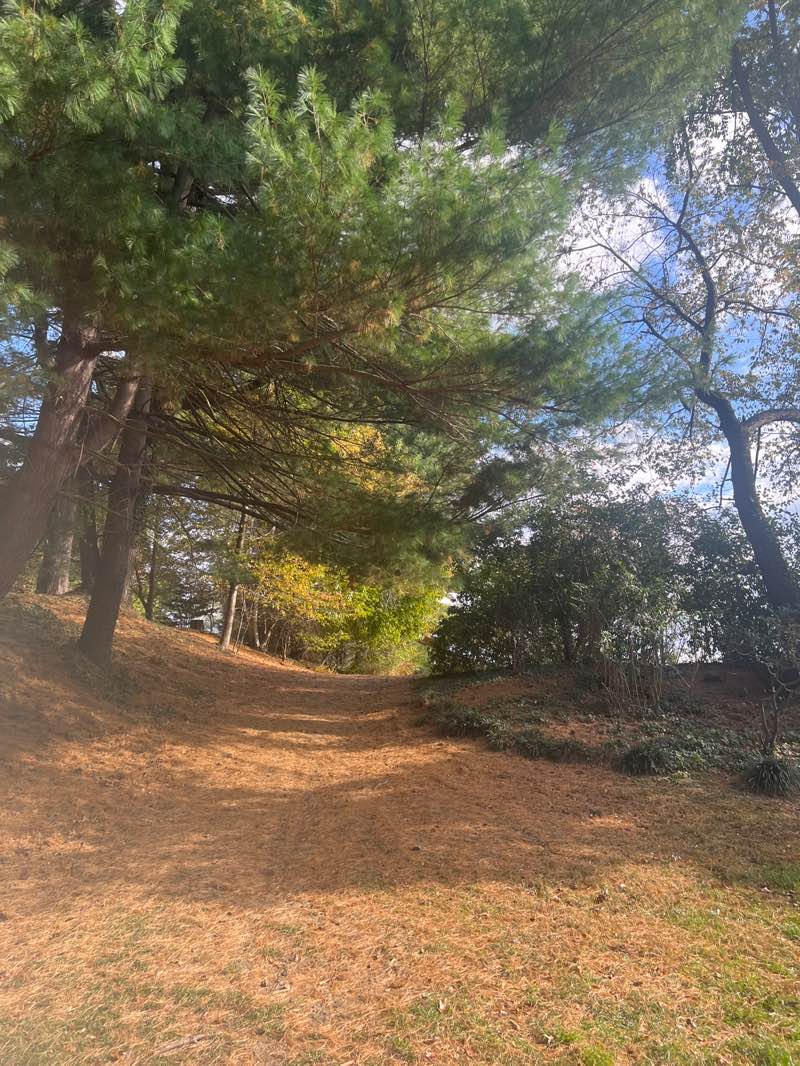 walking near me in High Meadow Park in autumn