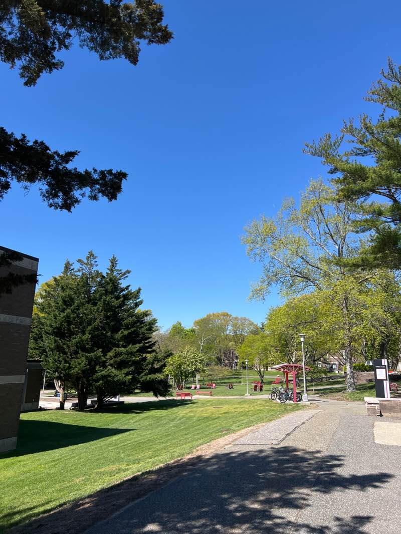 walking near me in Tabler Quad in spring