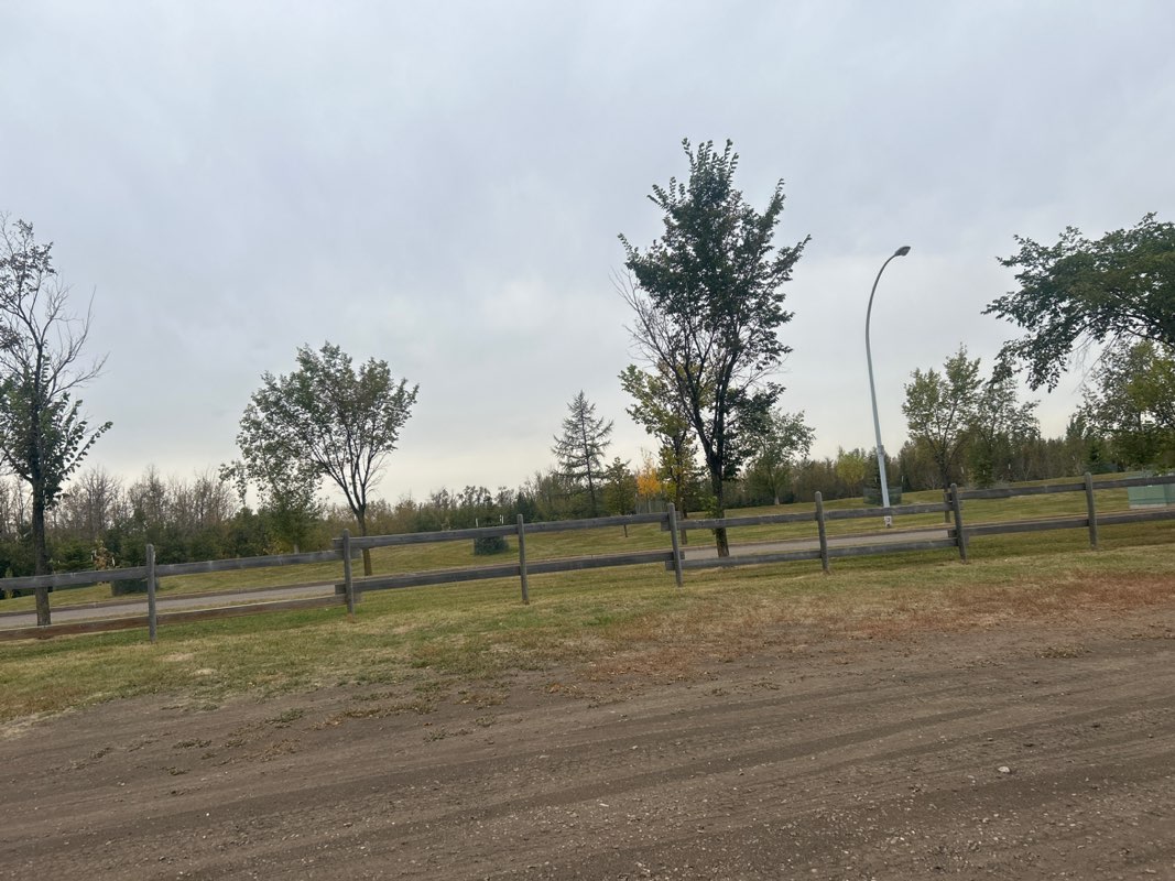 walking near me in Jackie Parker Park in autumn