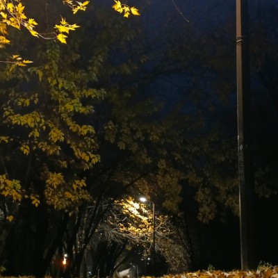 Balakovo64 Ирина64 post image