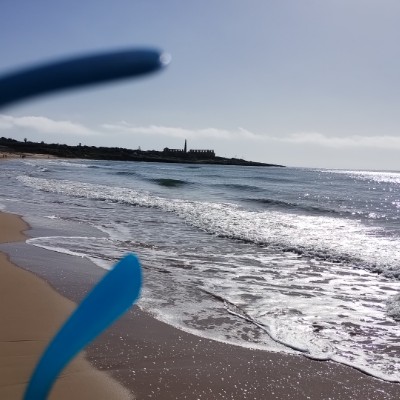 Zonna Marco Ferlanti post image