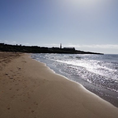 Zonna Marco Ferlanti post image