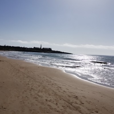 Zonna Marco Ferlanti post image