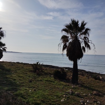 Zonna Marco Ferlanti post image