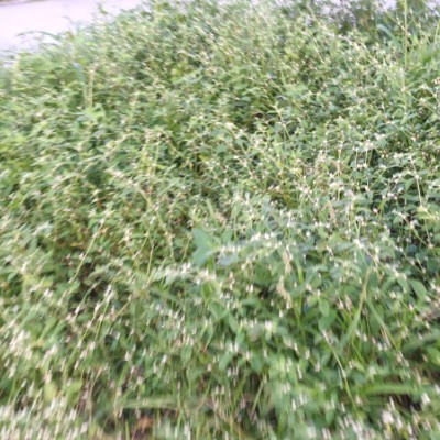 LoFaith Yorme Kloe Kurdaphya Kardashian post image