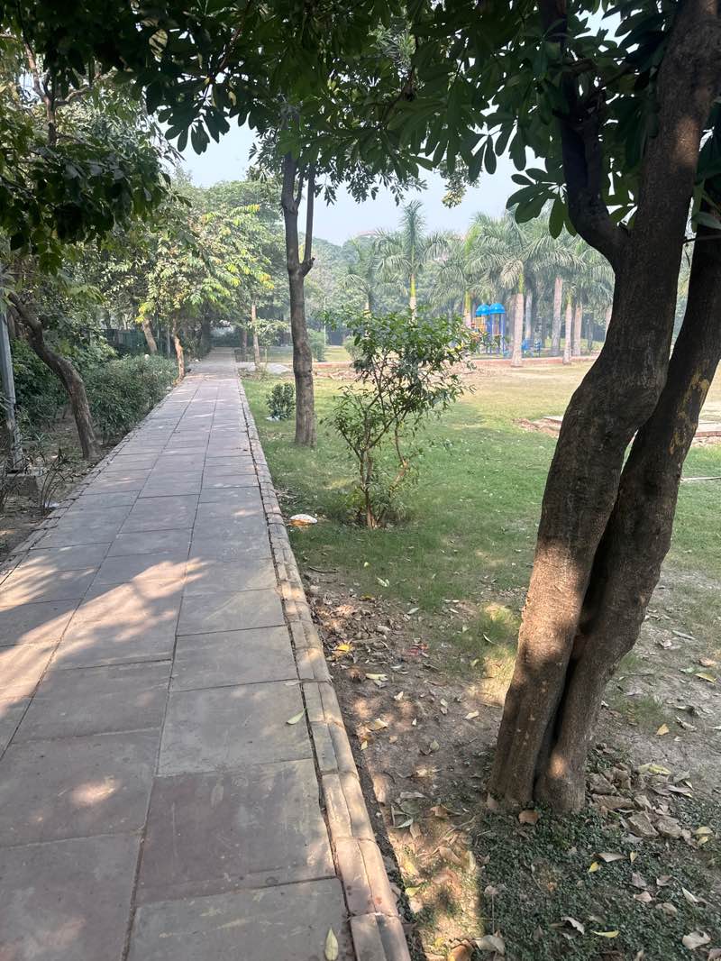 walking near me in Sector 34 Park in autumn