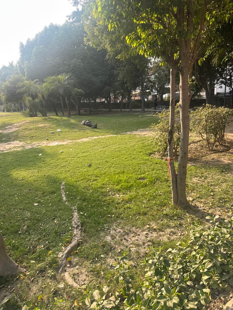 walking near me in indo gulf park in autumn