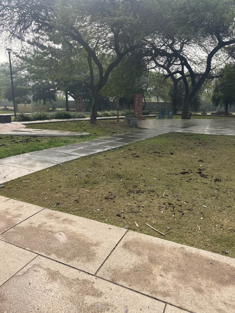 walking near me in Biodiversity Park in winter
