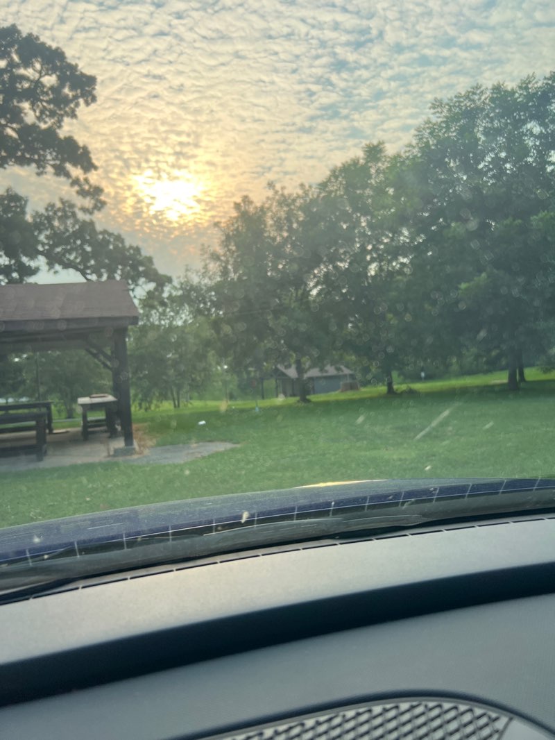 walking near me in Duncan Park in summer