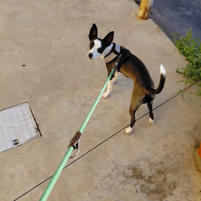 Zonna Salvo Garofalo post image