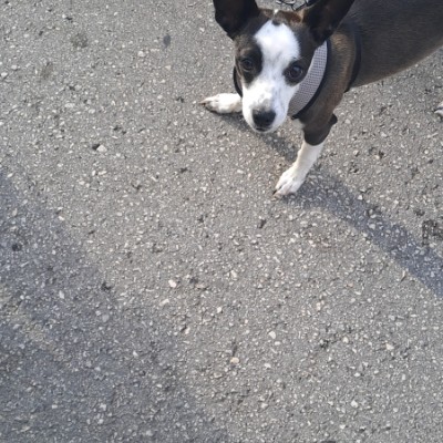 Zonna Salvo Garofalo post image