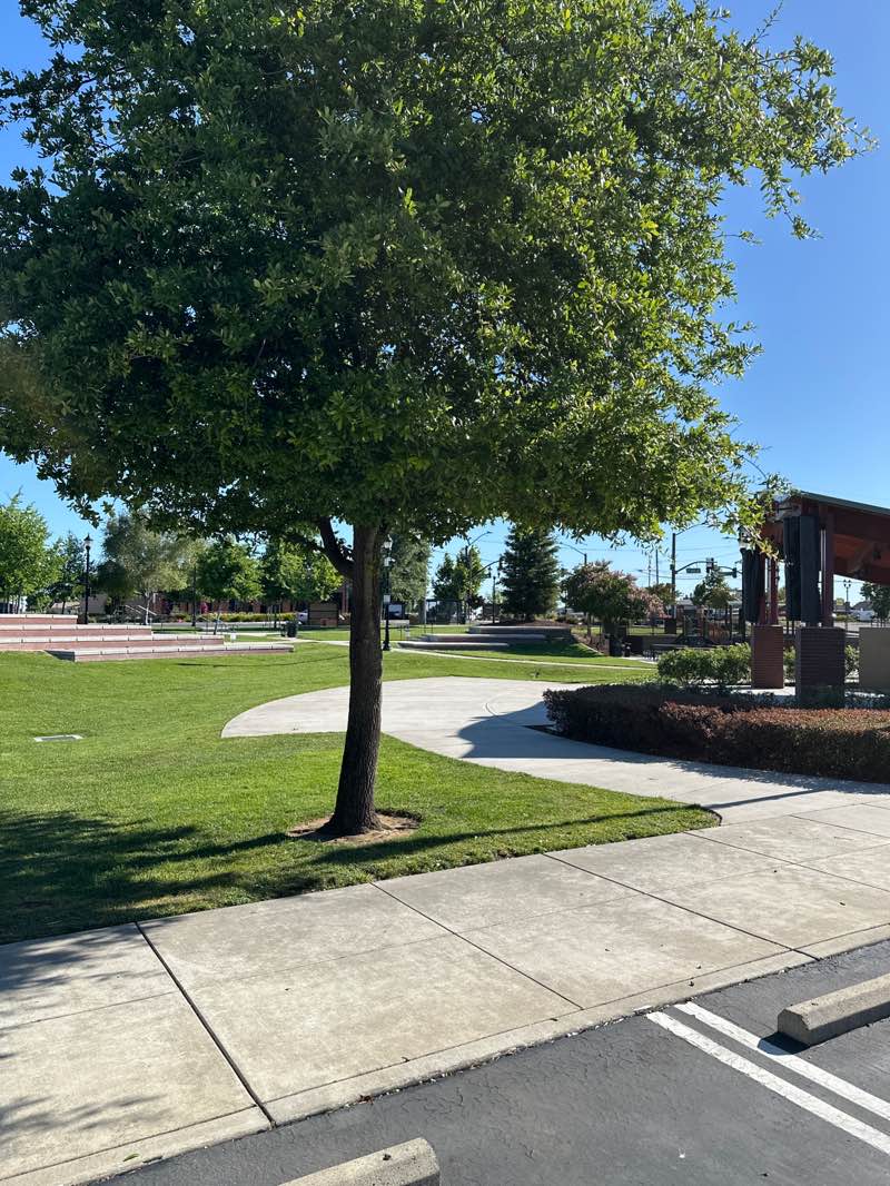 walking near me in Civic Center Park in summer