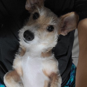 유인자 완화병동 profile