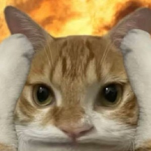 VOCO F&B 박가현 profile