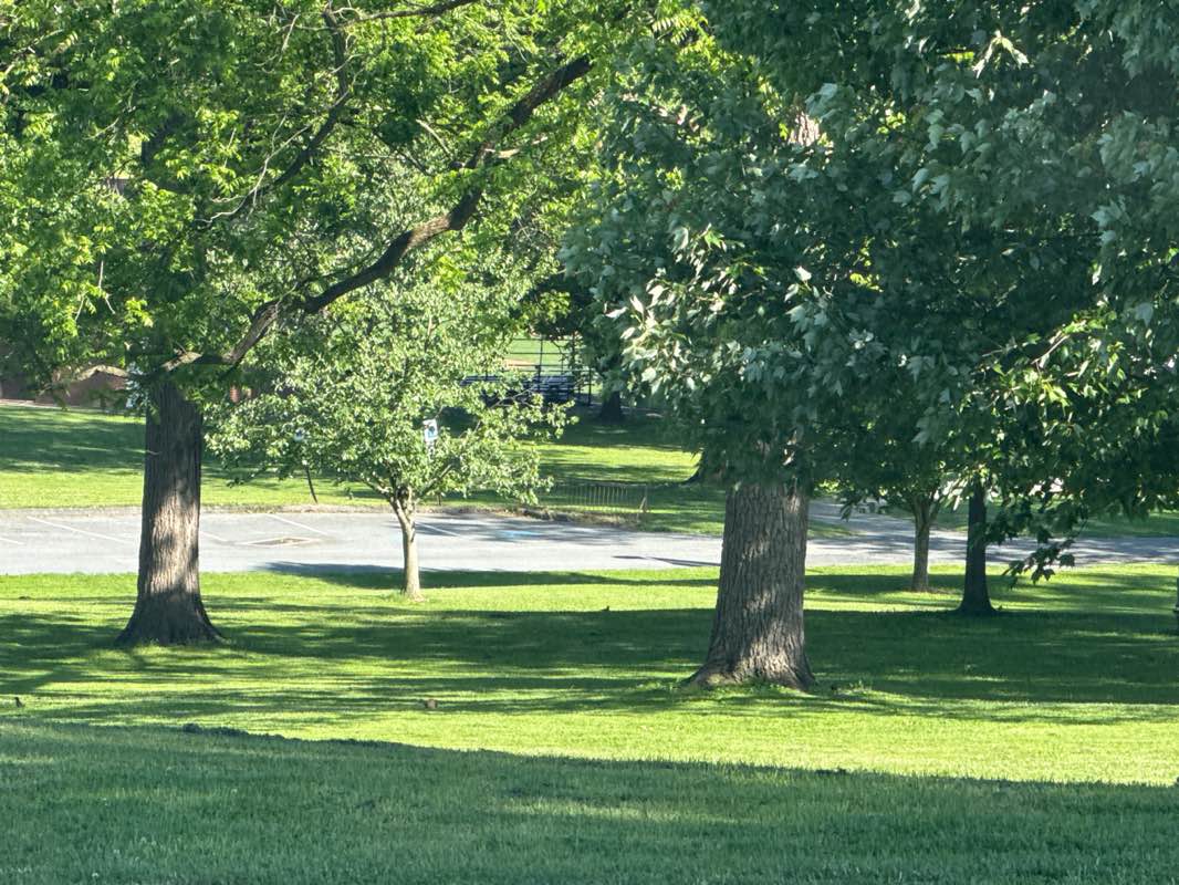 walking near me in Kutztown Borough Park in summer