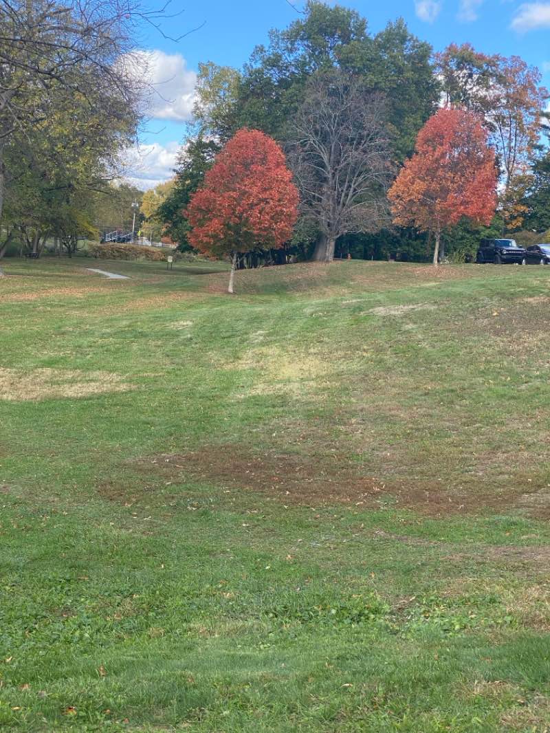 walking near me in Goffle Brook Park in autumn