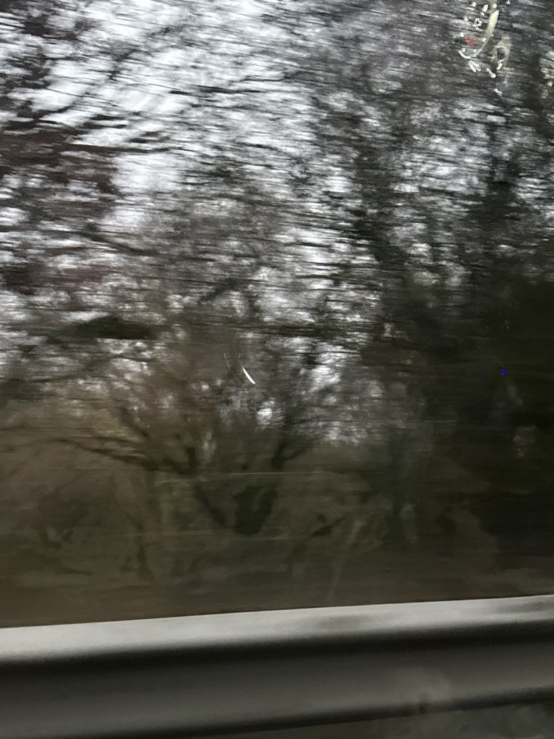 walking near me in Woodgate Valley Country Park in winter