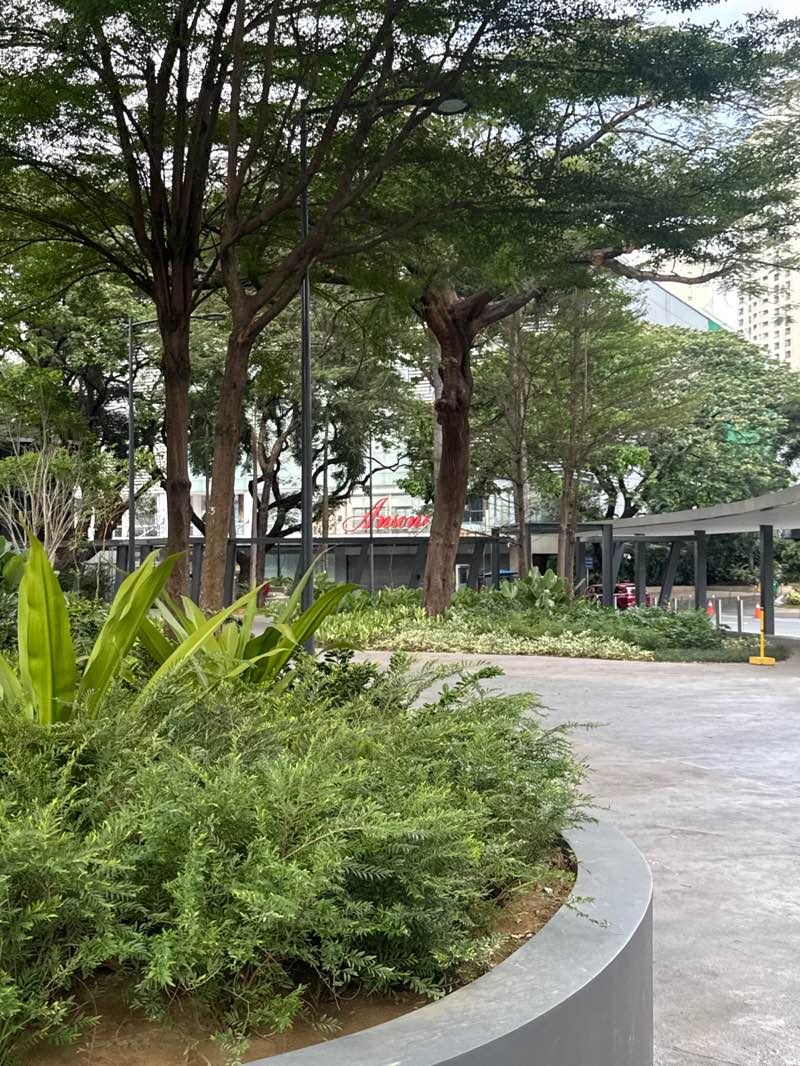 walking near me in Glorietta 3 Park in spring