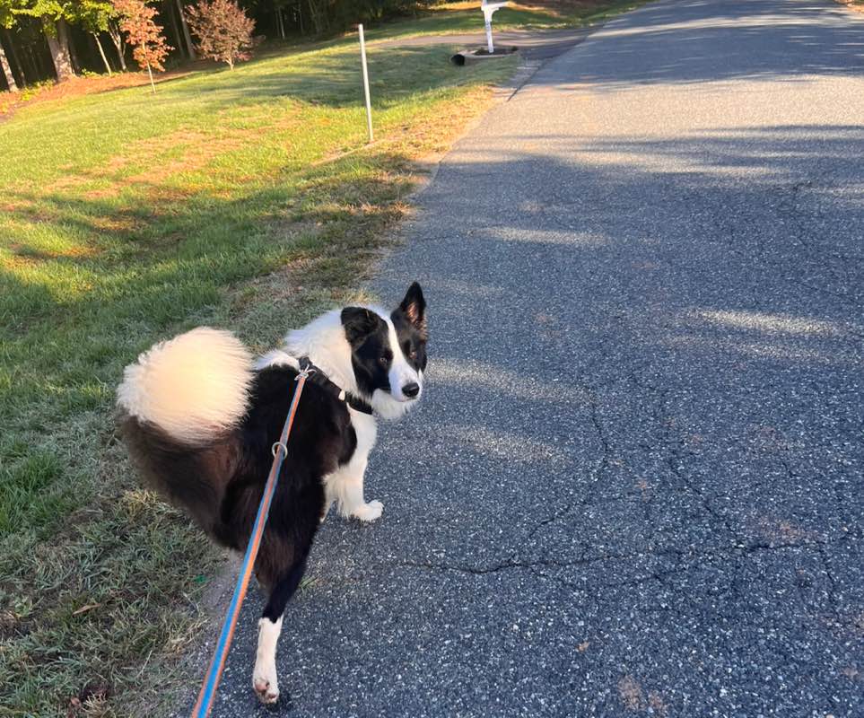 Ava Nicole Perla profile